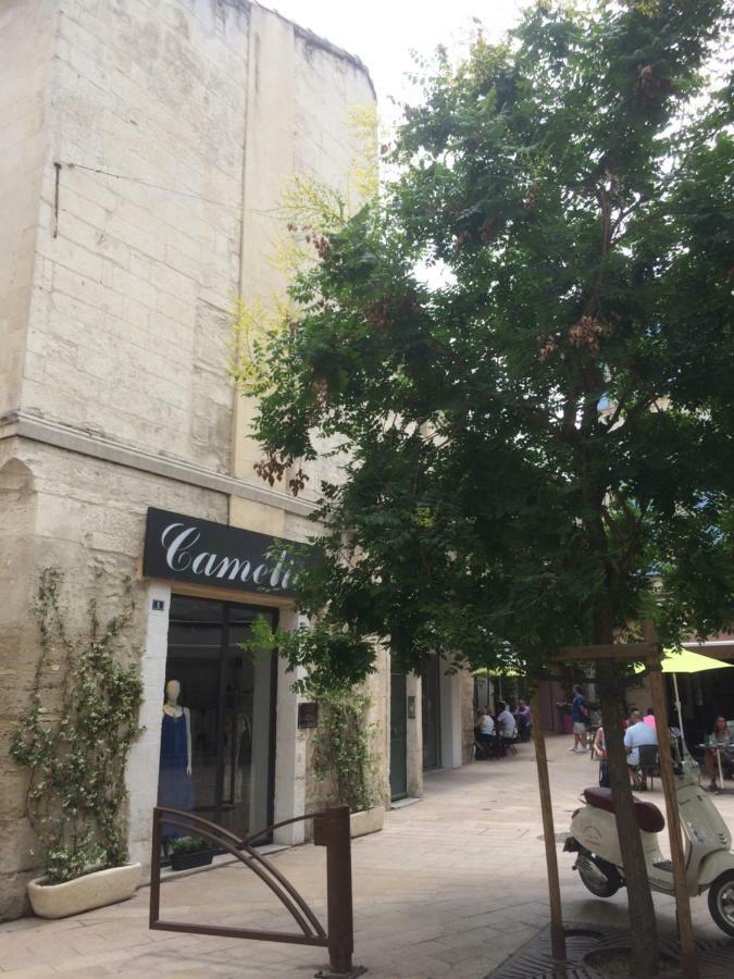 Nostradamus Appartement Saint-Rémy-de-Provence Buitenkant foto